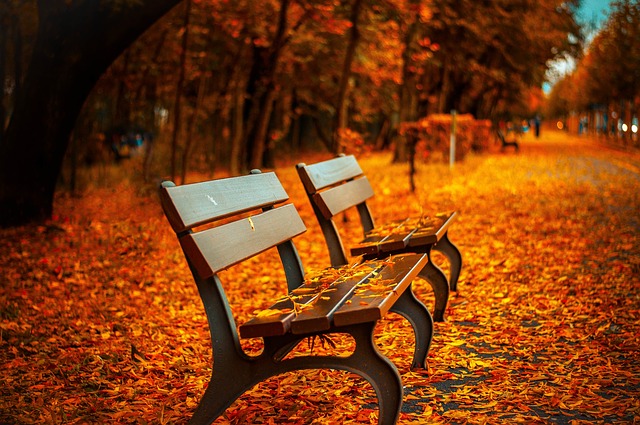 lavice na podzim